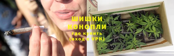 PSILOCYBIN Елизово