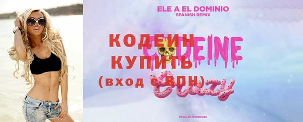 spice Ельня