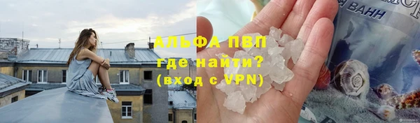 стаф Заволжье