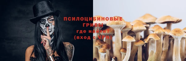 стаф Заволжье