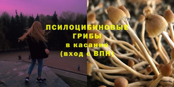 PSILOCYBIN Елизово